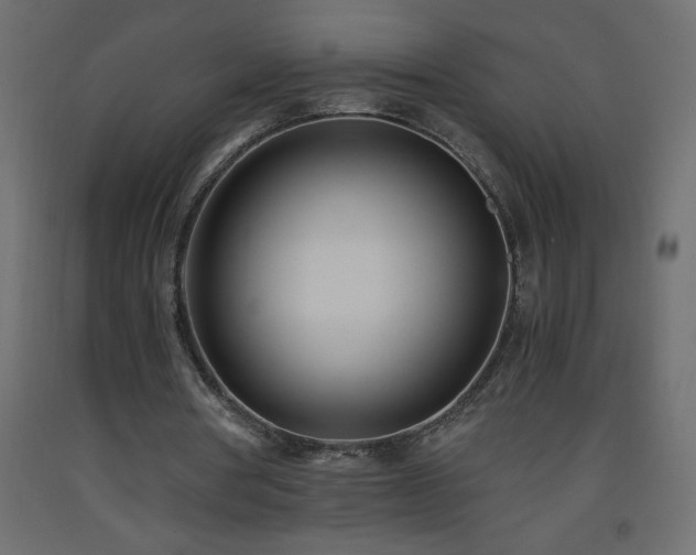 X0000093570386200710151132
