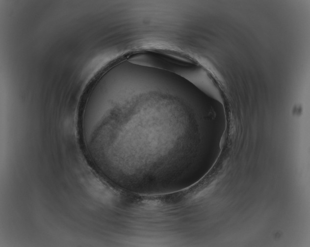 X0000093570391200710151132