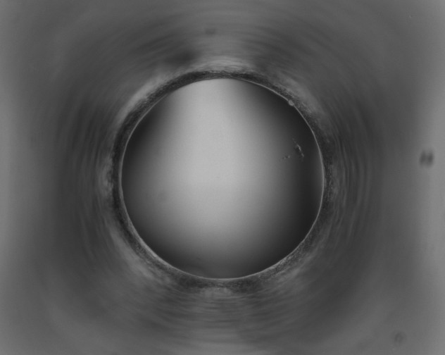 X0000093570392200710151131