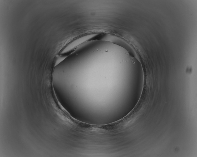 X0000093570393200710151131