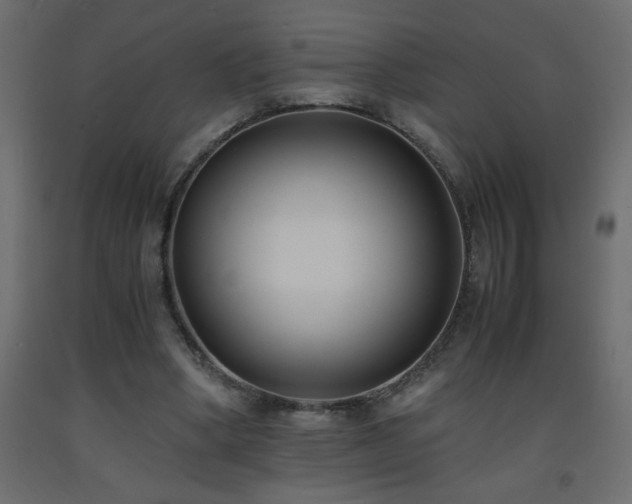 X0000093570394200710151131