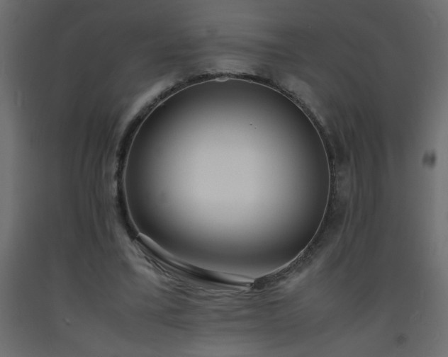 X0000093570395200710151131