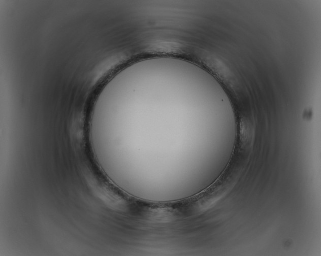 X0000093570396200710151131