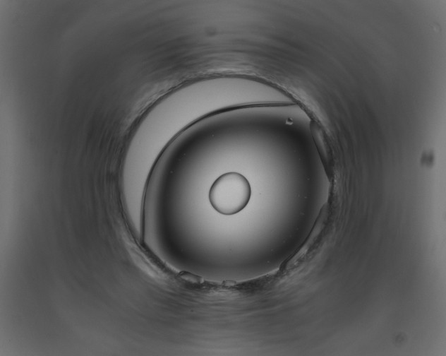 X0000093570397200710151131