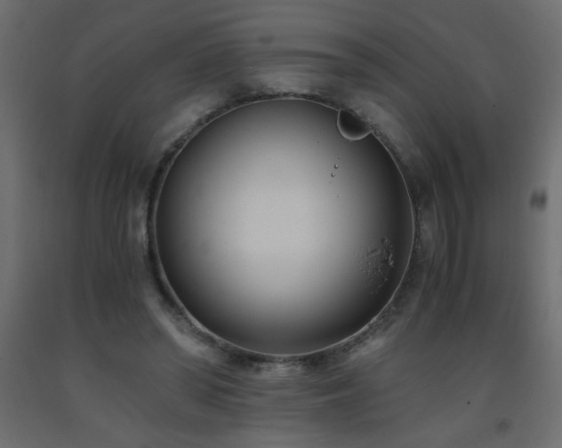 X0000093570398200710151131