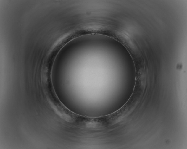 X0000093570400200710151131