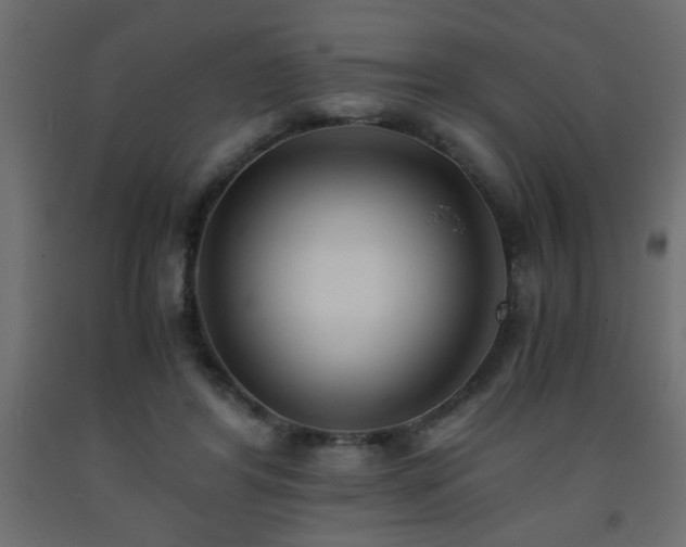 X0000093570404200710151131