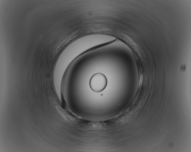 X0000093570405200710151131