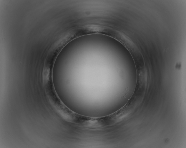 X0000093570406200710151131