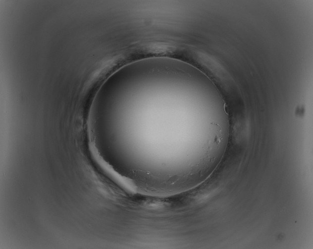 X0000093570407200710151131