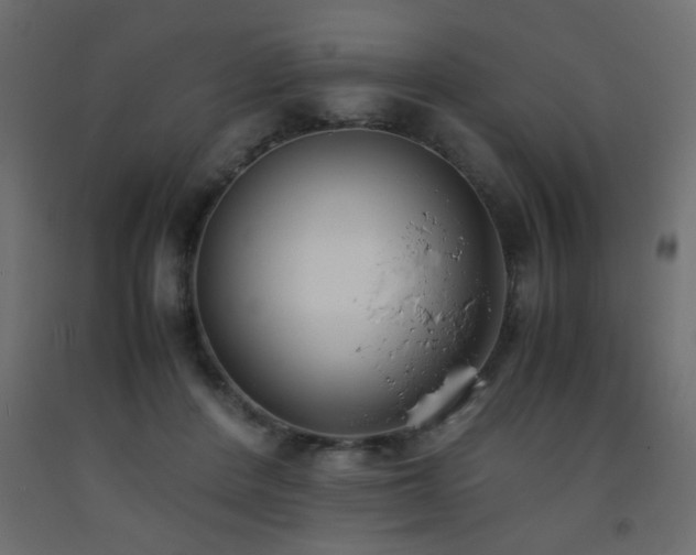 X0000093570408200710151131