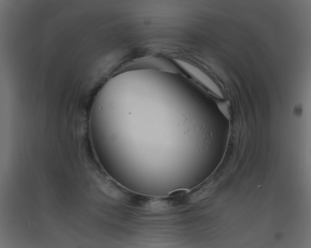 X0000093570413200710151131