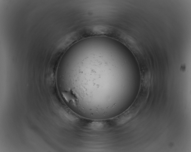 X0000093570418200710151131