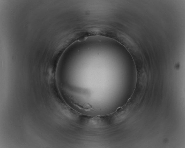 X0000093570420200710151131