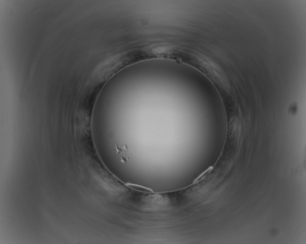 X0000093570421200710151131