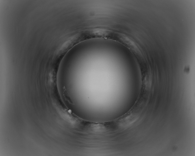 X0000093570424200710151131
