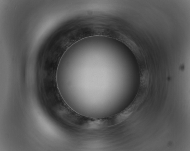 X0000093570430200710151131