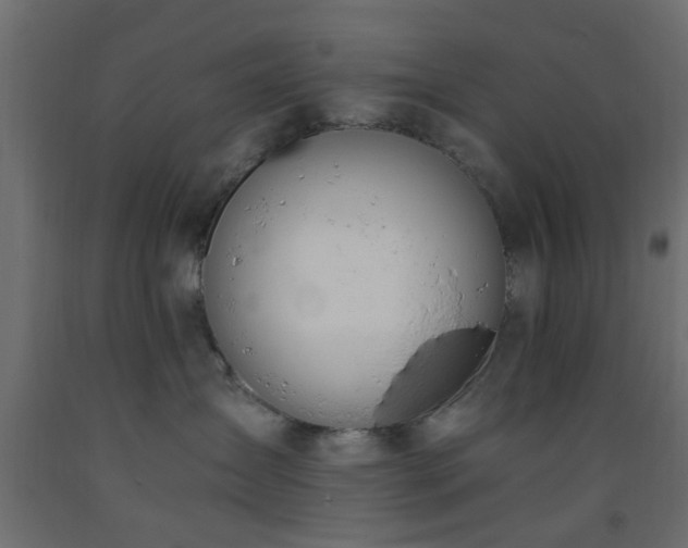 X0000093570431200710151131