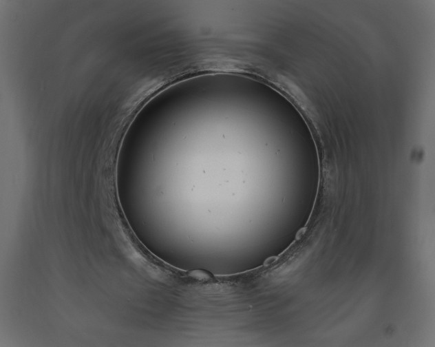 X0000093570433200710151130