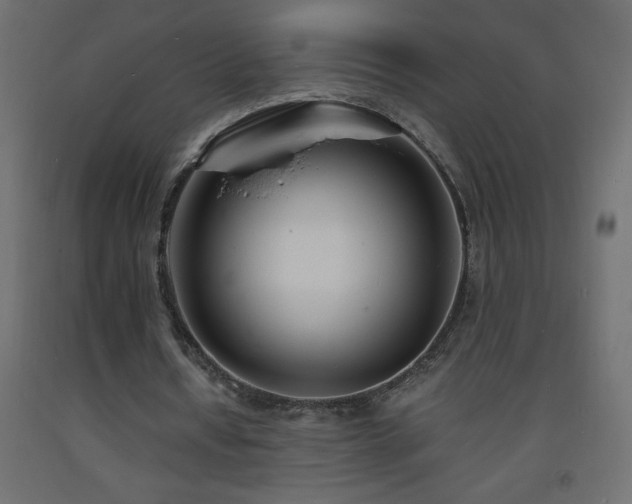 X0000093570434200710151130