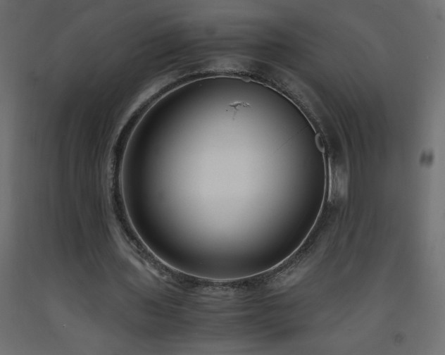 X0000093570435200710151130