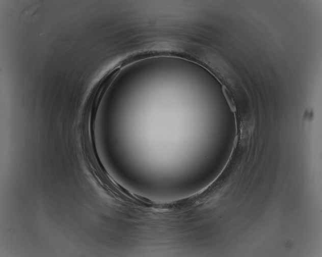 X0000093570436200710151130