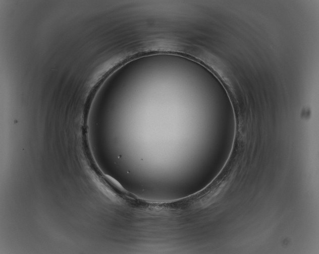 X0000093570437200710151130