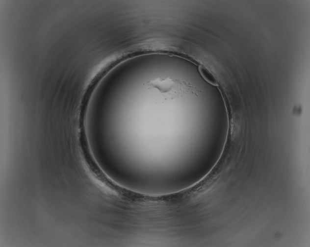 X0000093570438200710151130
