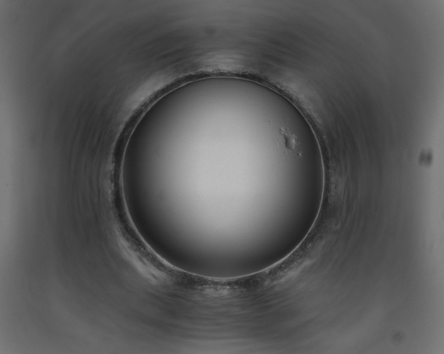 X0000093570439200710151130