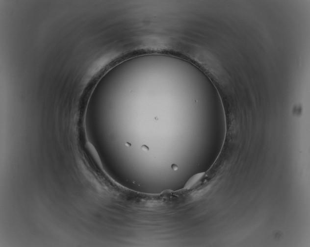 X0000093570440200710151130