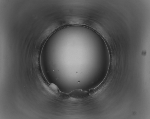 X0000093570441200710151130