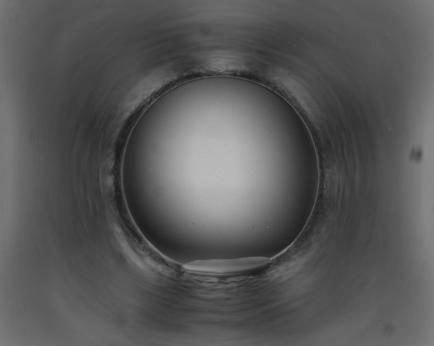 X0000093570443200710151131