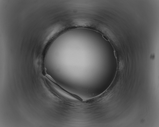 X0000093570444200710151131