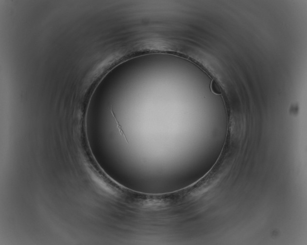 X0000093570445200710151131