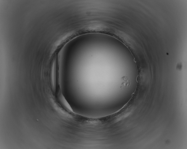 X0000093570446200710151131