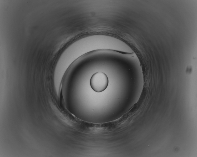 X0000093570448200710151131