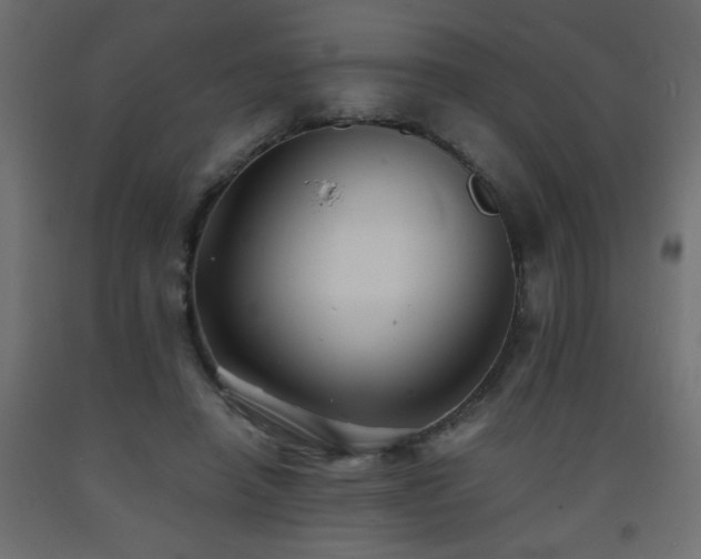 X0000093570450200710151131