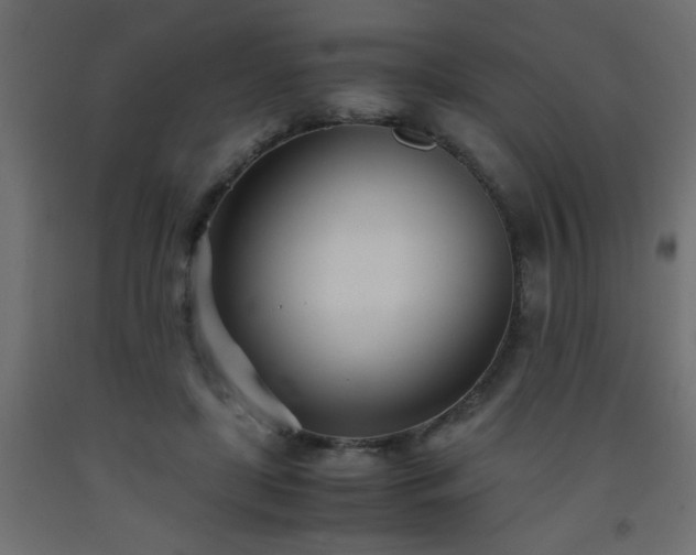 X0000093570451200710151131