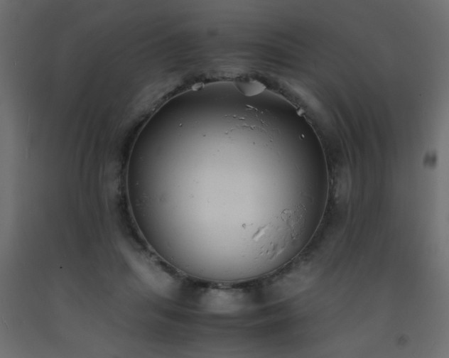 X0000093570455200710151131