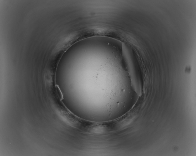 X0000093570456200710151131