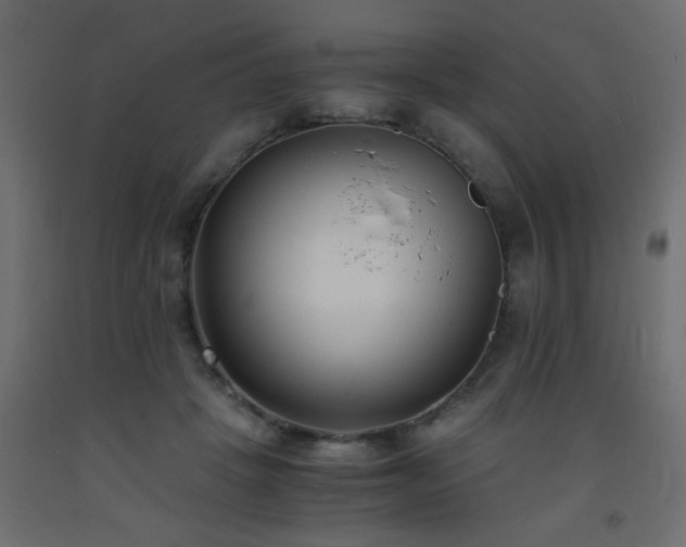 X0000093570457200710151131