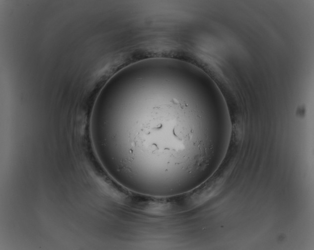 X0000093570458200710151131