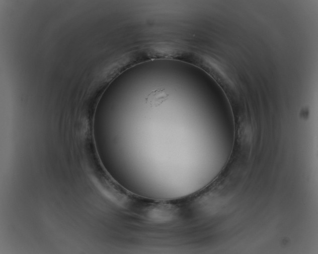 X0000093570459200710151131