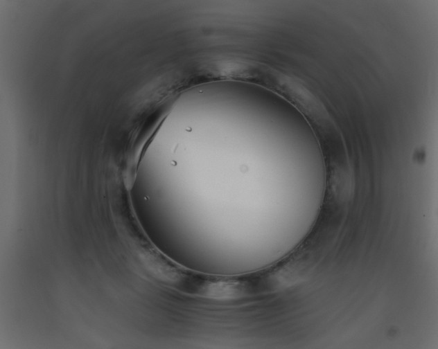 X0000093570461200710151131
