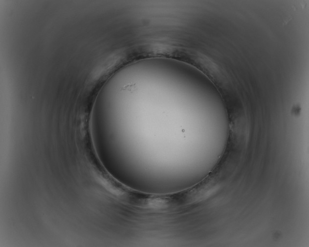 X0000093570462200710151131