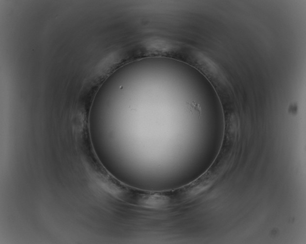 X0000093570463200710151131