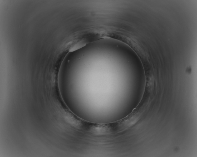 X0000093570466200710151131