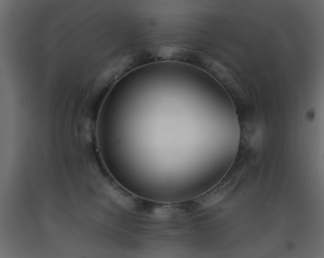 X0000093570470200710151131