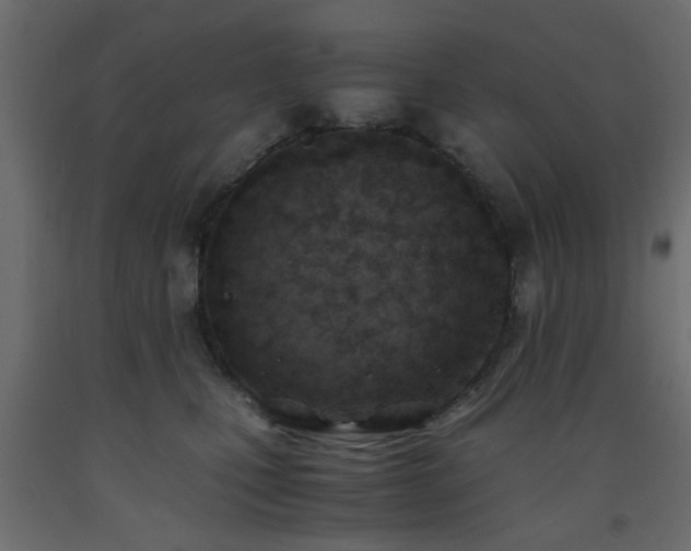 X0000093570471200710151131