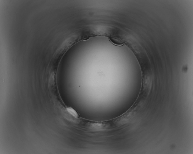 X0000093570473200710151131